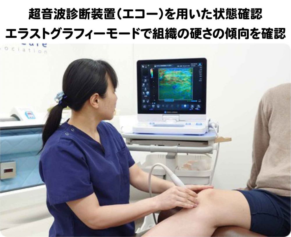 エコーを活用した状態確認 - 銀座リリース整体院