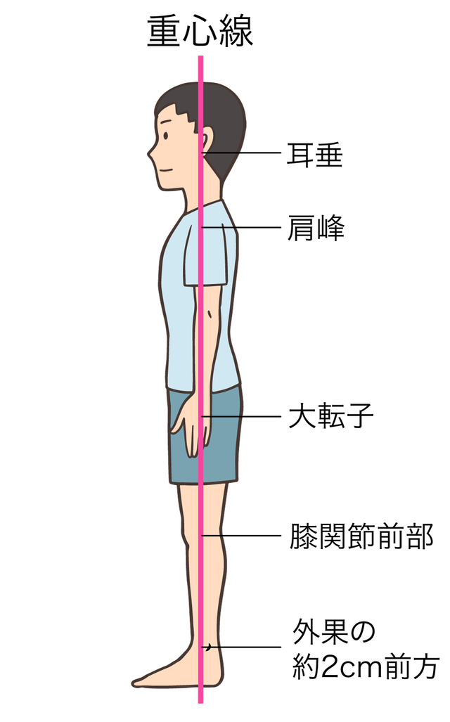 発声を支える姿勢と重心線を示したイラスト - 銀座リリース整体院